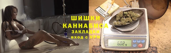 ГАЛЛЮЦИНОГЕННЫЕ ГРИБЫ Вязники