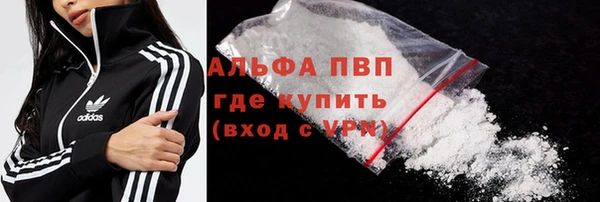 ГАЛЛЮЦИНОГЕННЫЕ ГРИБЫ Вязники