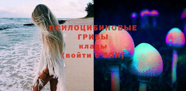 ГАЛЛЮЦИНОГЕННЫЕ ГРИБЫ Вязники