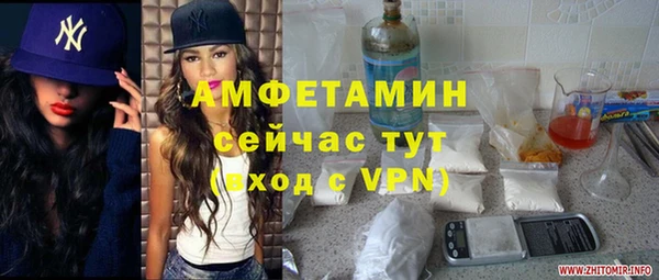 ГАЛЛЮЦИНОГЕННЫЕ ГРИБЫ Вязники